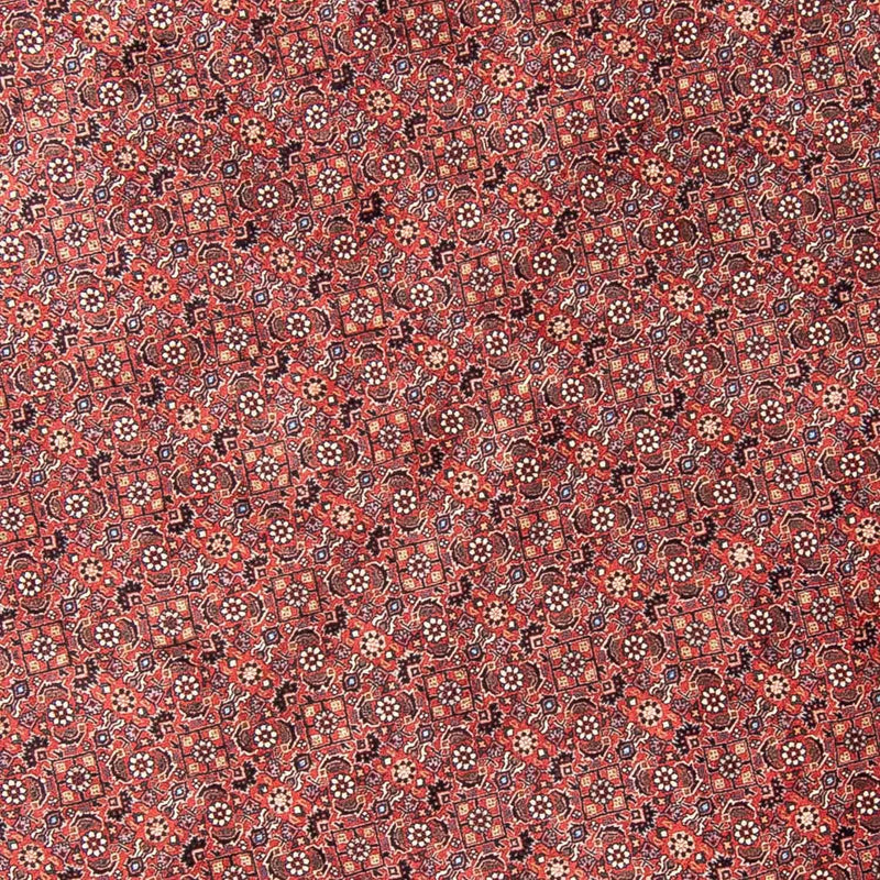 Bidjar Tapete 300x300cm - Tapete persa