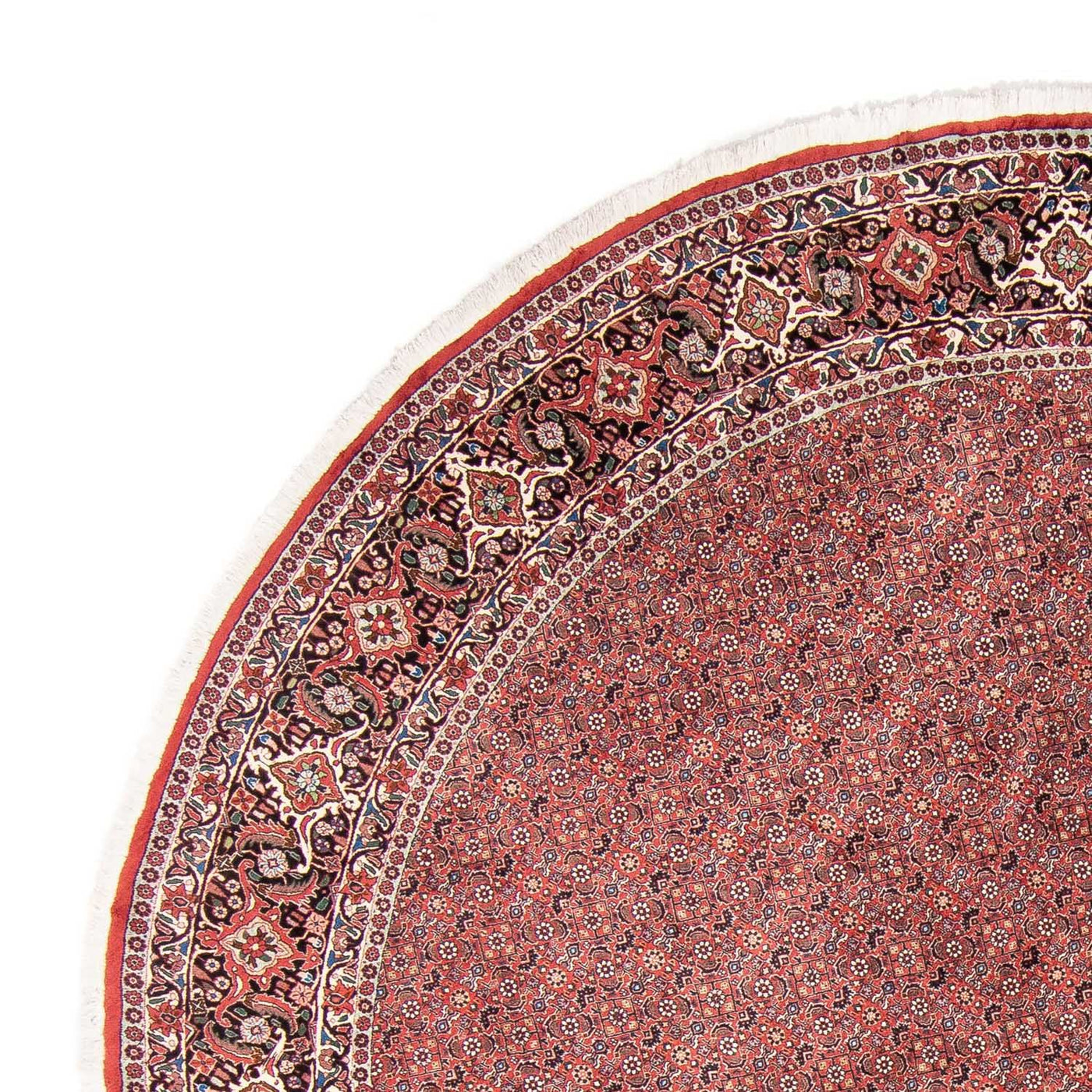 Bidjar Tapete 300x300cm - Tapete persa