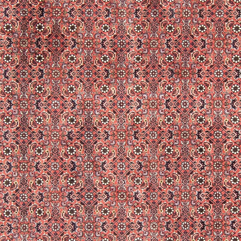 Bidjar Tapete 300x300cm - Tapete persa