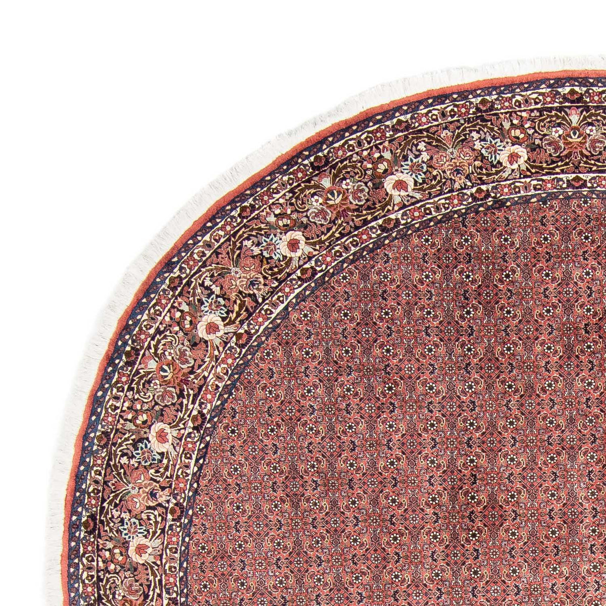 Bidjar Tapete 300x300cm - Tapete persa