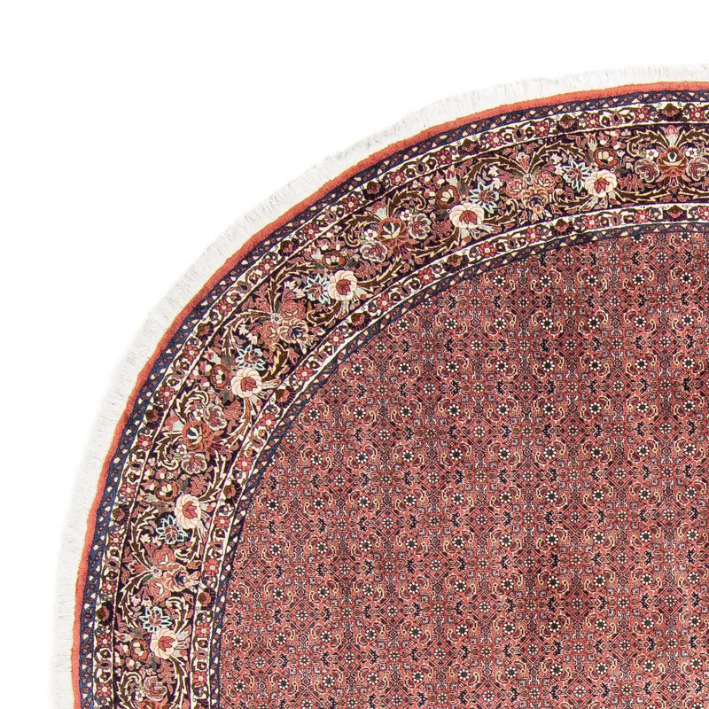 Bidjar Tapete 300x300cm - Tapete persa