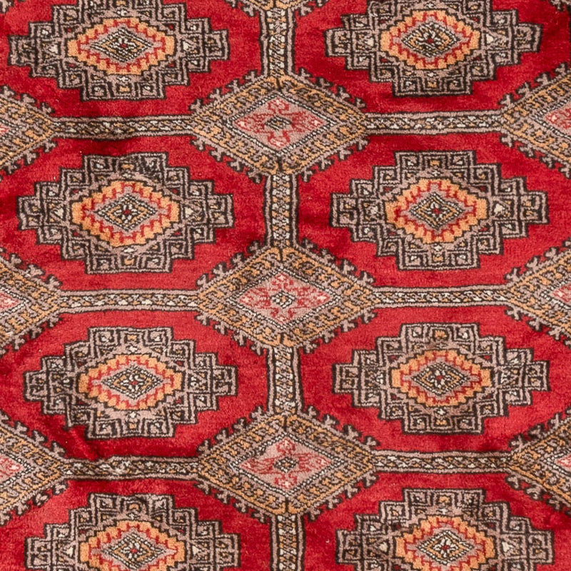Tapete Paquistão 165x124cm - Tapete Oriental