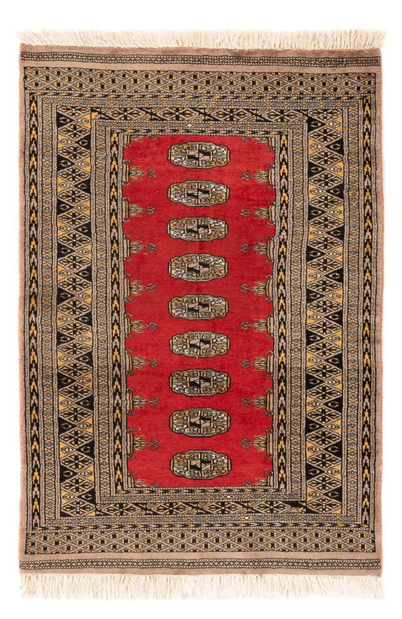 Tapete Paquistão 82x124cm - Tapete Oriental